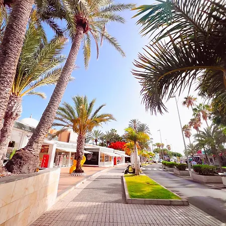 Ocean View! Parque Americas! Heated Pool, Ac! La05 * Playa de las Americas (Tenerife)